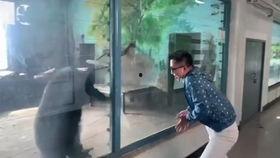 国产化妆品翻车视频大全,揭秘网红产品背后的真相