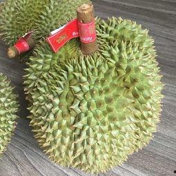 国产榴莲小视频,短视频里的热带风情与味蕾诱惑  第2张